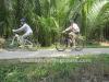 Cycling on smoothpaths Ben Tre to Tra Vinh, explore Mo Cay local life