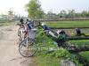 Ride pass the verdant vegetable farmlands, Hue to Quang Tri