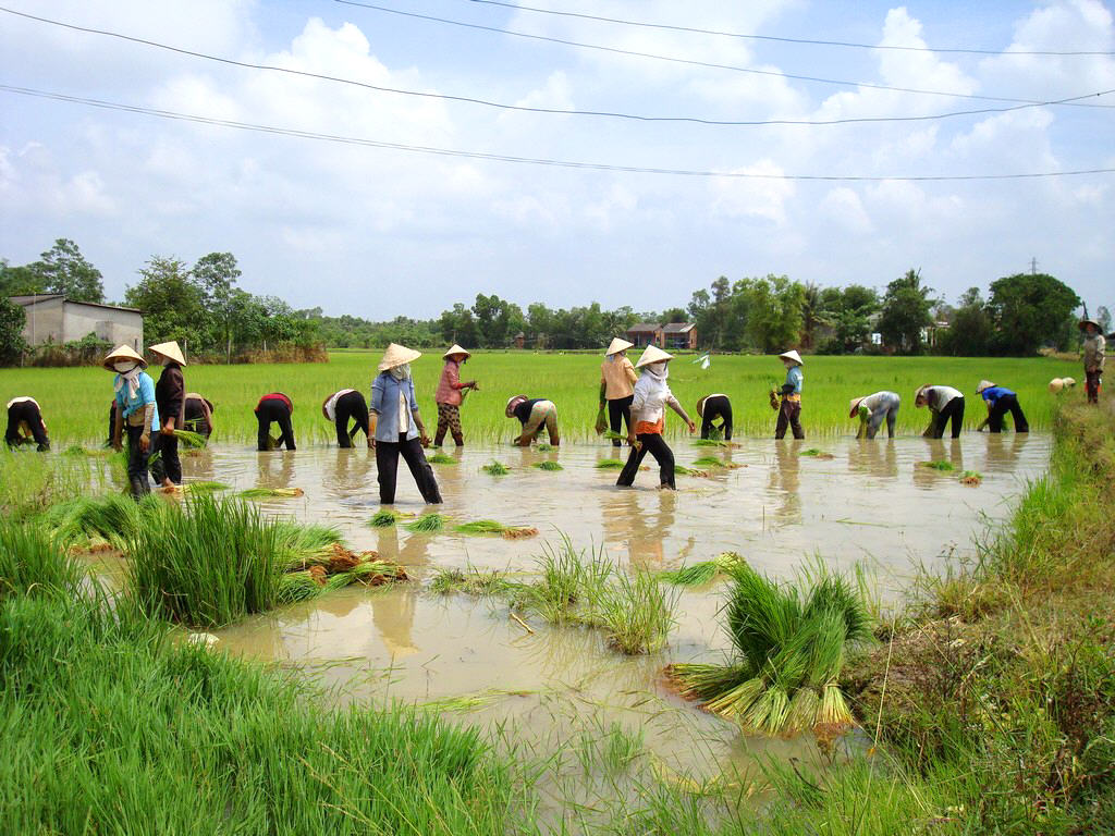 Biking Mekong Delta