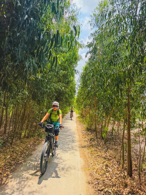 Mekong Delta