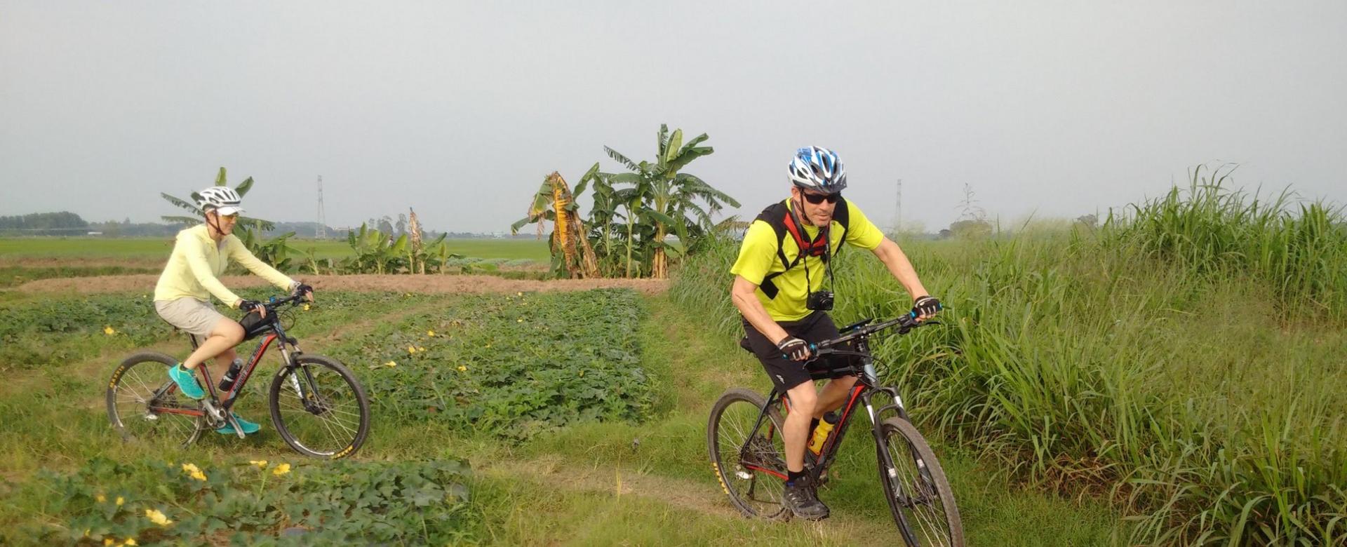 Cycling to Red River Delta in Hanoi, explore local life along the river, visit Co Loa Citdatel