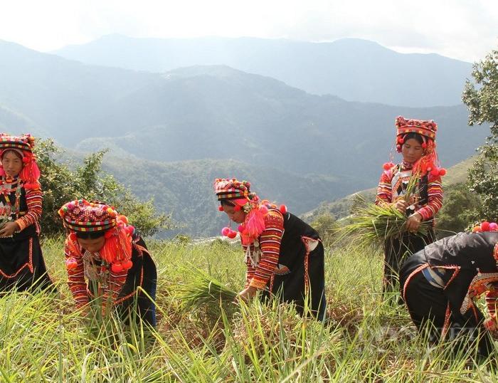 Cycling Vietnam's Northwest mountains, explore Muong Te