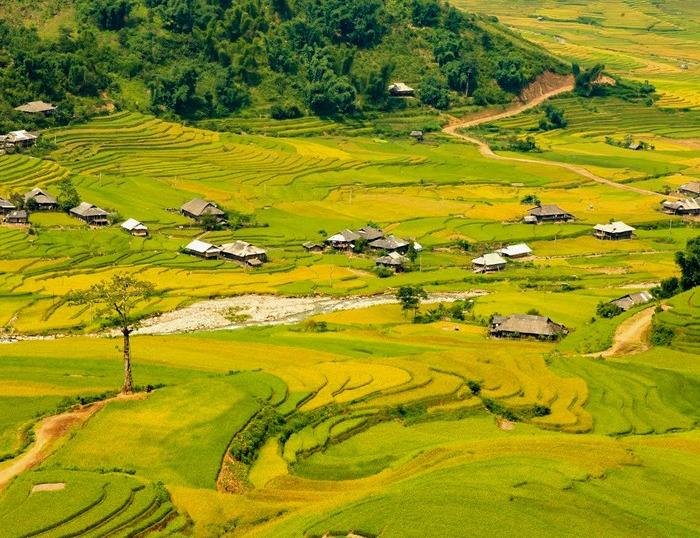 Cycling Northwest Vietnam Cycling Loops, Mai Chau, Moc Chau, Mu Cang Chay, and Sapa to Ha Noi